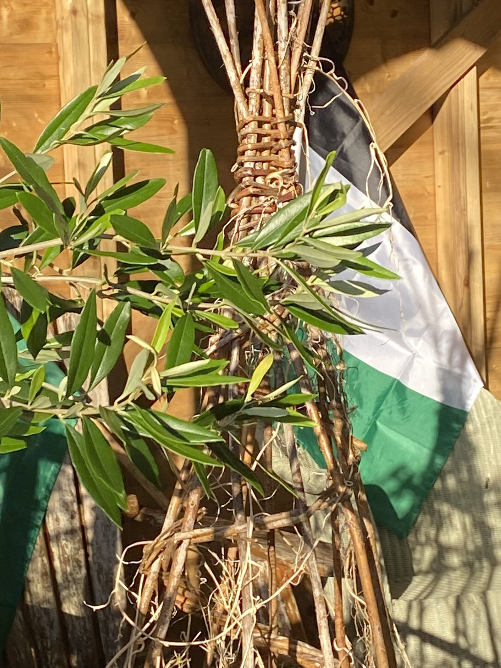 Tree Image